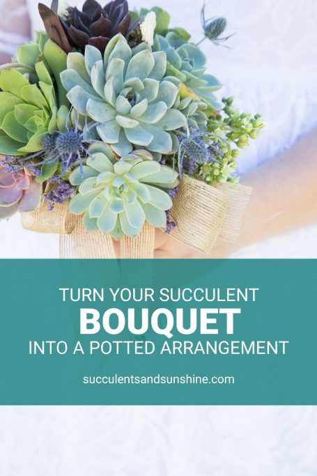 turn succulent bouquet into potted arrangement wedding mememto lasts longer than flowers