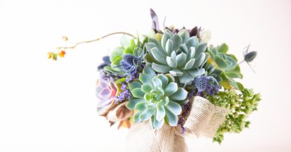 succulent bouquet flowers wedding save cuttings potted arrangement echeveria purple pink blue