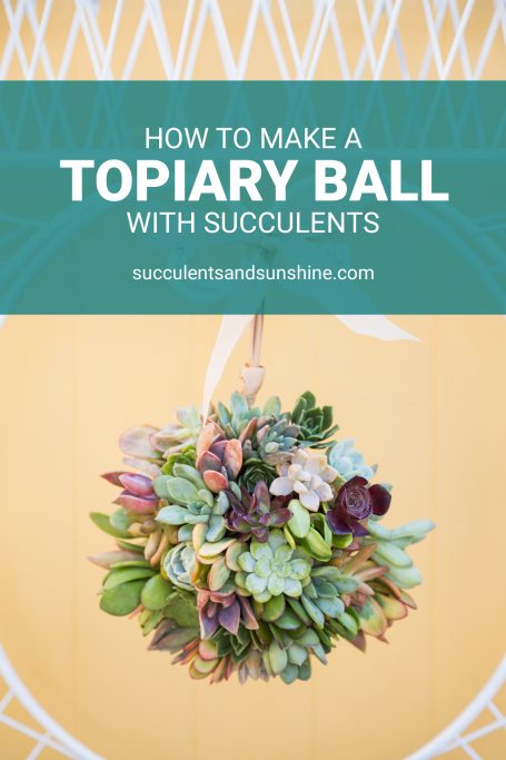 tutorial for succulent topiary ball