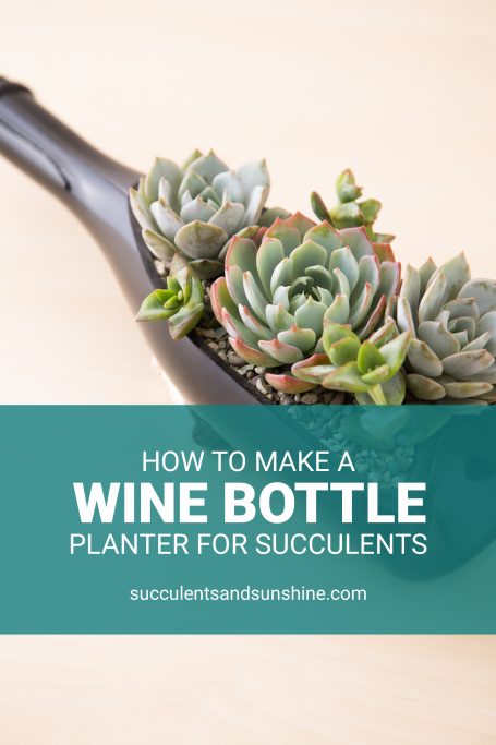 tutorial wine bottle succulent planter