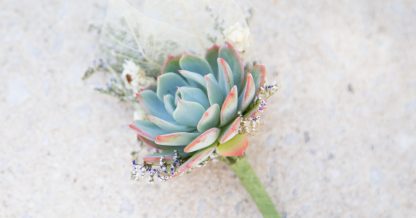 blue green pink white purple succulent boutonniere wedding resource inspiration planning ideas