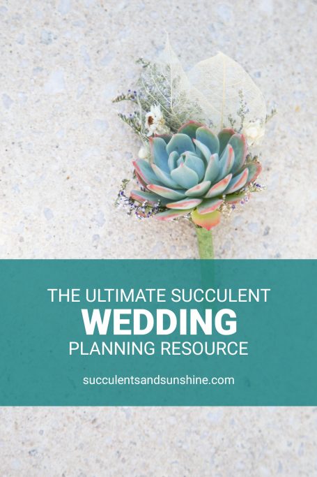 the ultimate succulent wedding planning resource inspiration