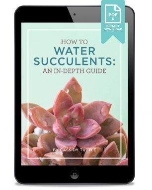 watering ebook