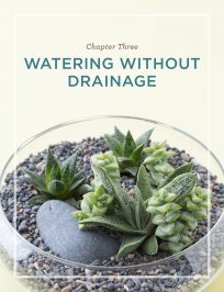 watering without drainage