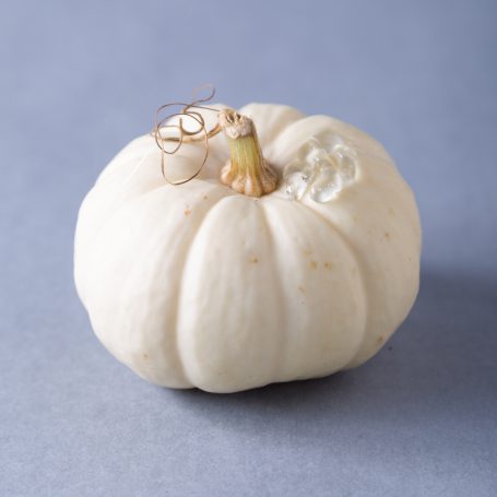 white pumpkin