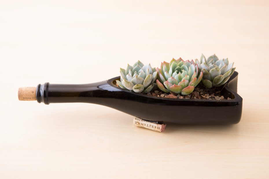 wine bottle planter succulents