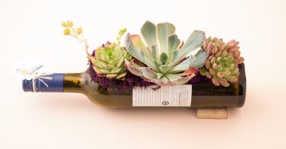 wine bottle planter succulents centerpiece party decoration