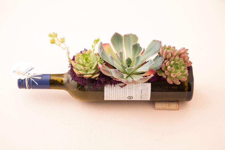 wine bottle planter succulents centerpiece party decoration