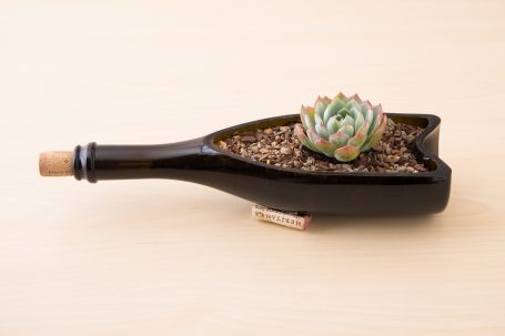 wine bottle succulent