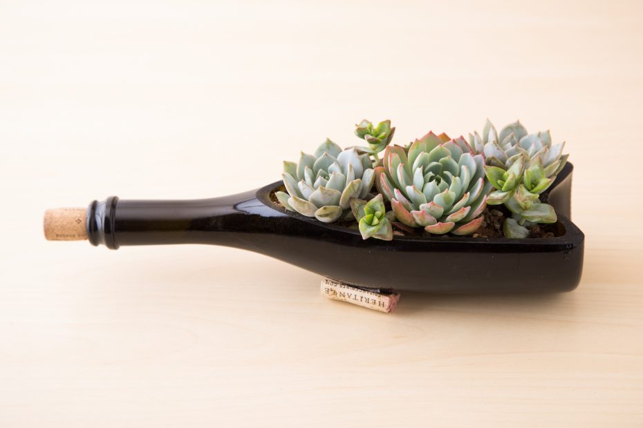 wine bottle succulent arrangement