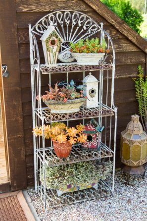 wire shelf succulents in pots