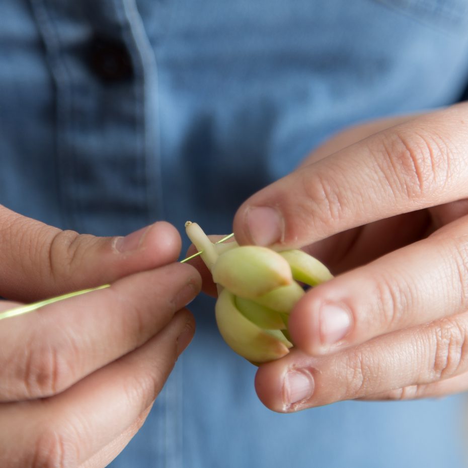 place wire in succulent create a longer stem to use for succulent boutonniere diy