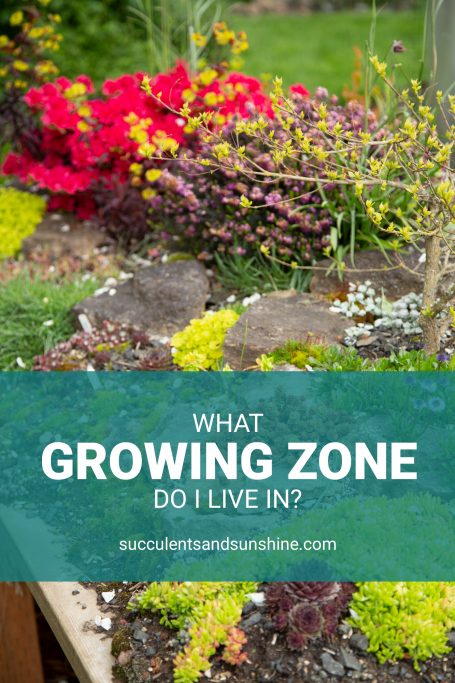 growing zone pinnable