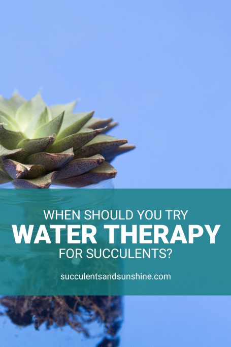 water therapy pinnable