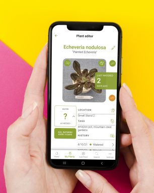 hands holding phone with succulent tracker app