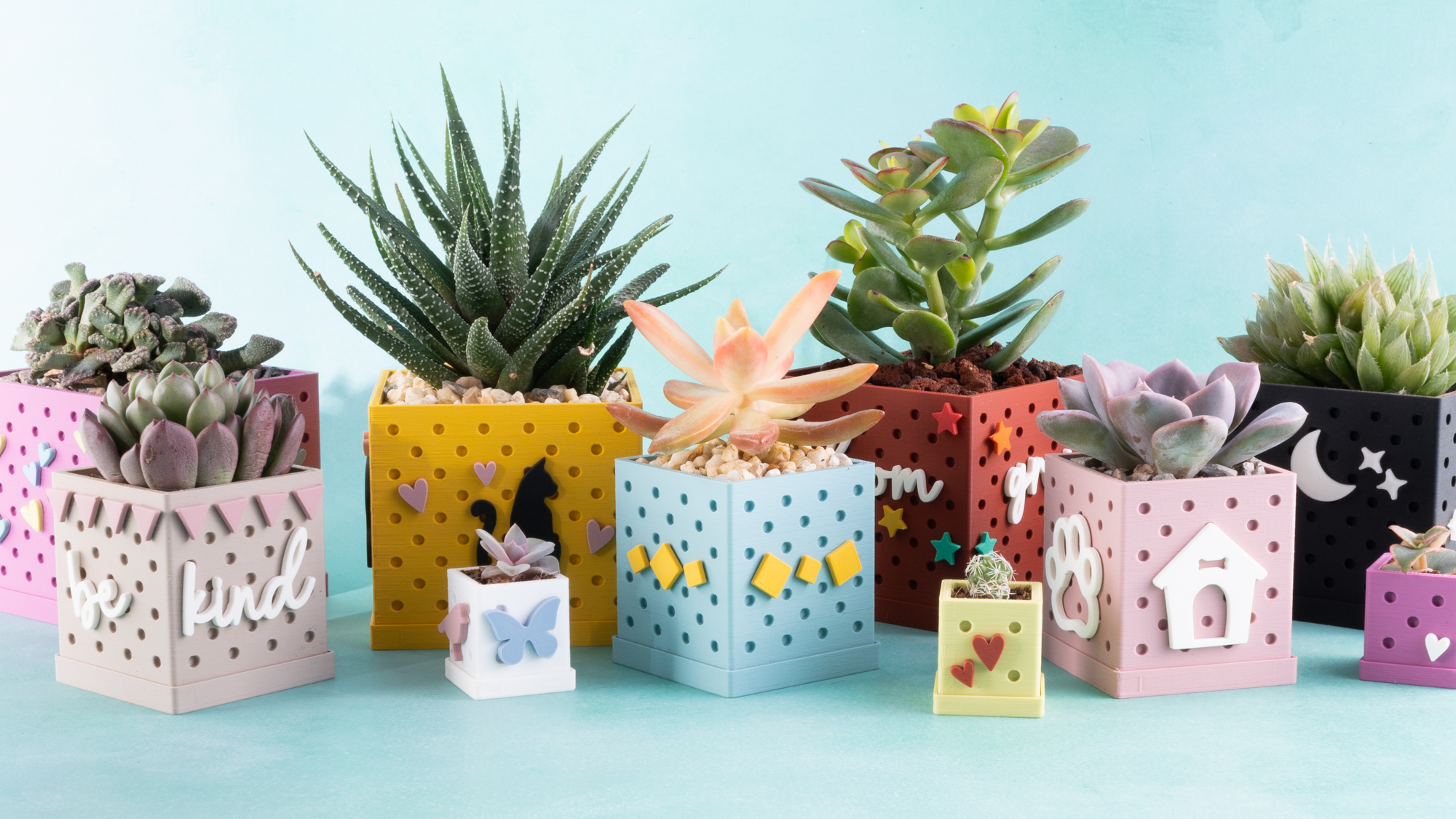 snappy pots in different colors with succulents