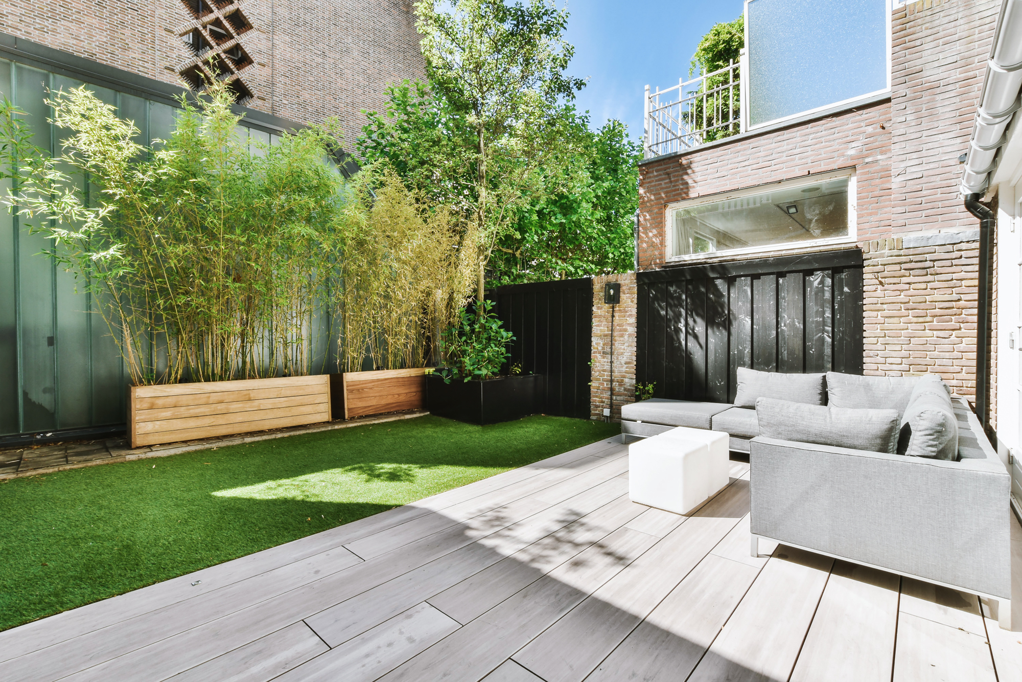 Adobe Stock Casa Imagenes bamboo plants outside patio