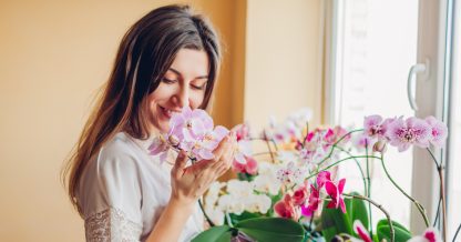 Adobe Stock Mary Violet woman smelling orchid