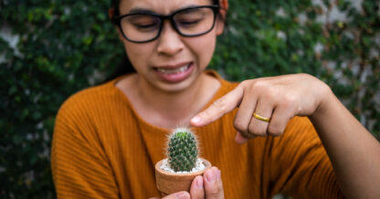 Adobe Stock Scentrio woman glasses holding cactus touching pokey