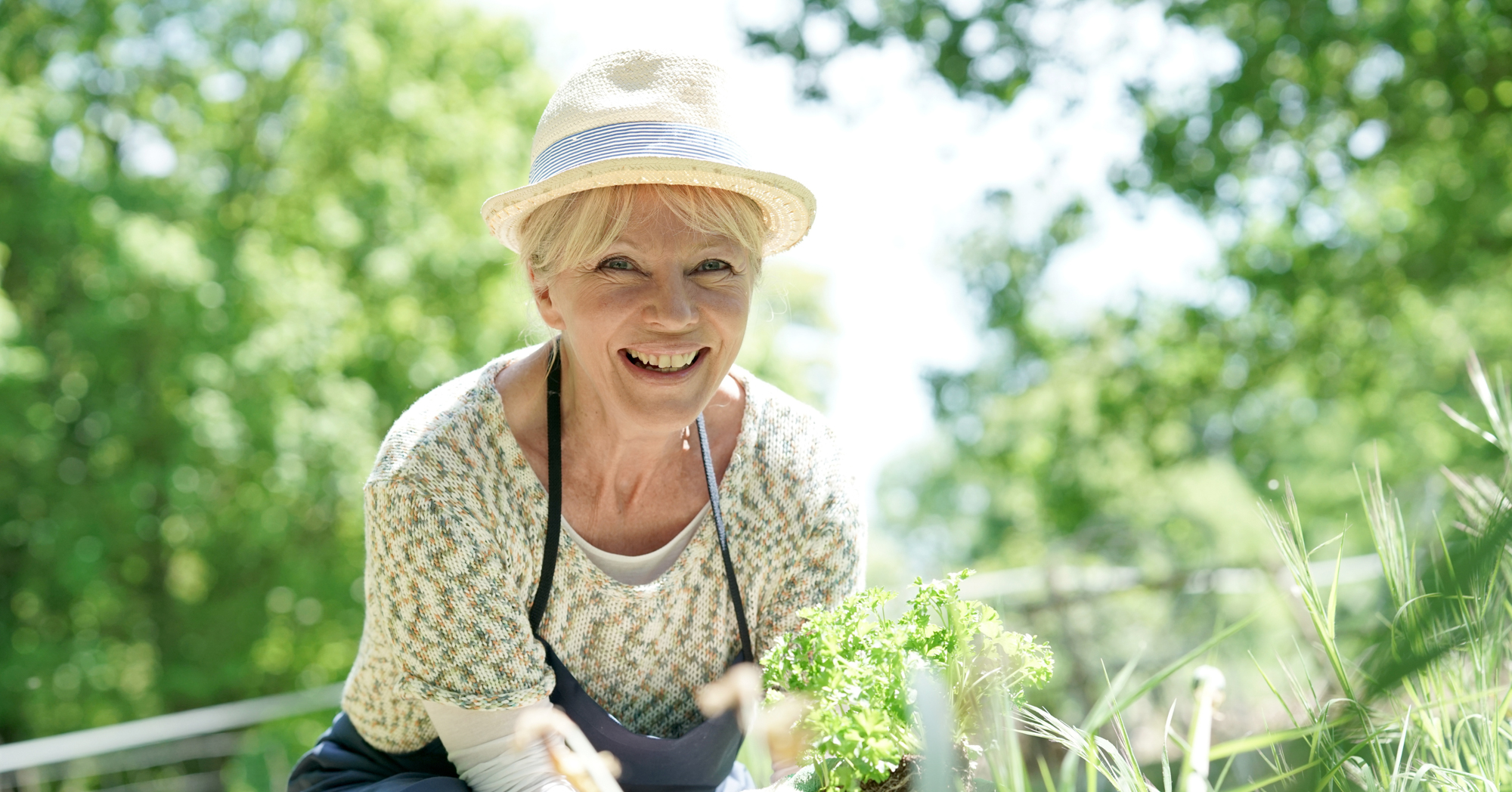 Adobe Stock goodluz senior woman gardening in hat