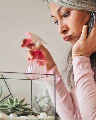 Charming woman taking care of succulent plants at home