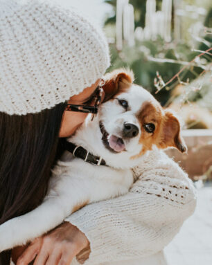 Pretty,Young,Woman,Playing,With,Her,Adorable,Dog,Jack,Rusell