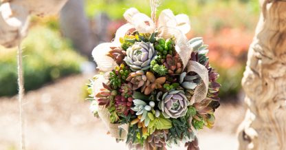 hanging succulent topiary ball at waterwise botanicals