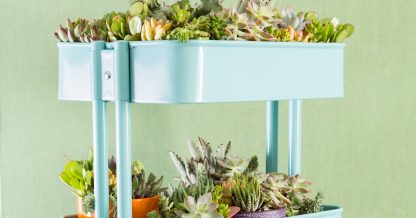 ikea raskog cart filled with succulents