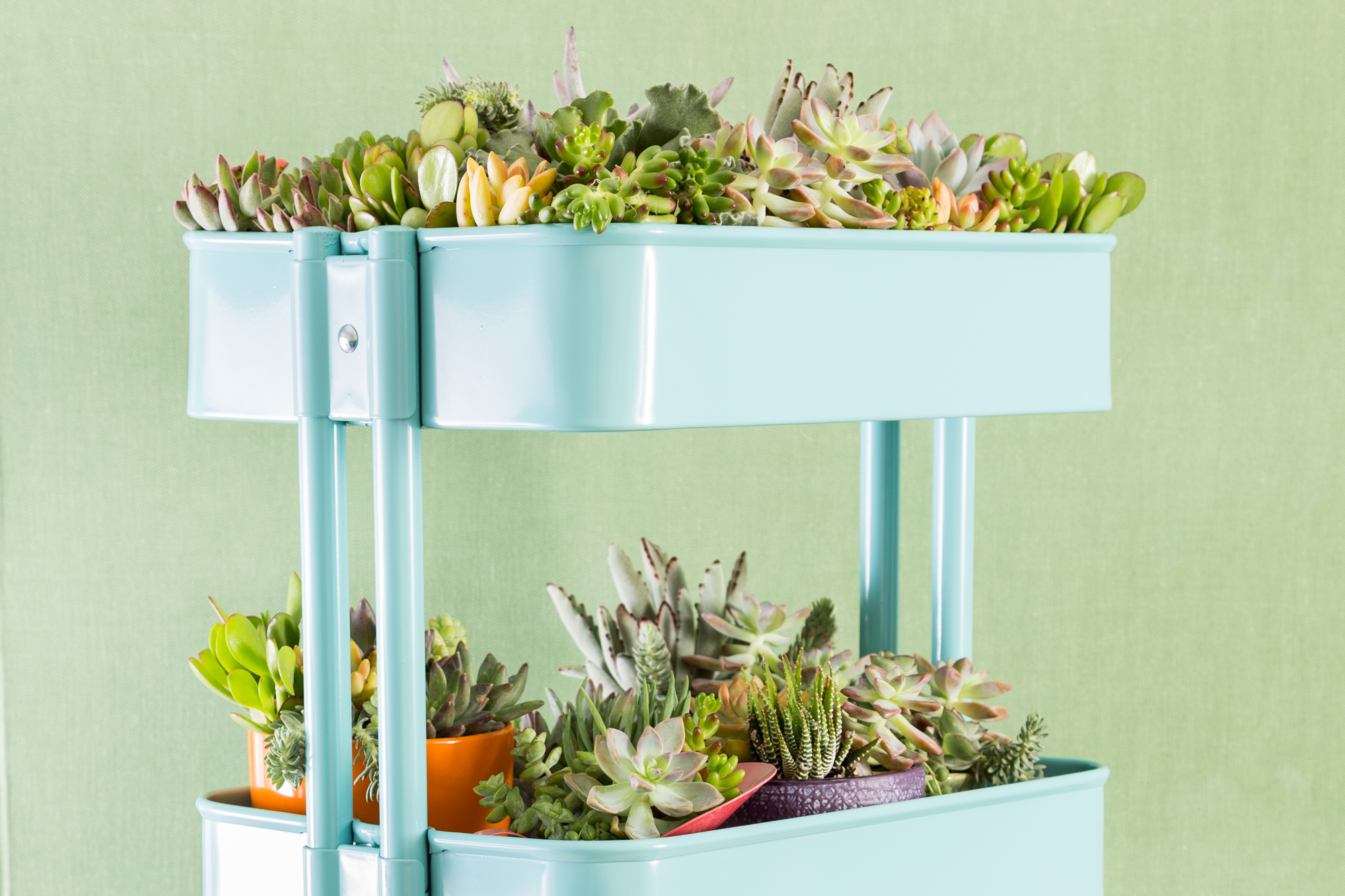 ikea raskog cart filled with succulents