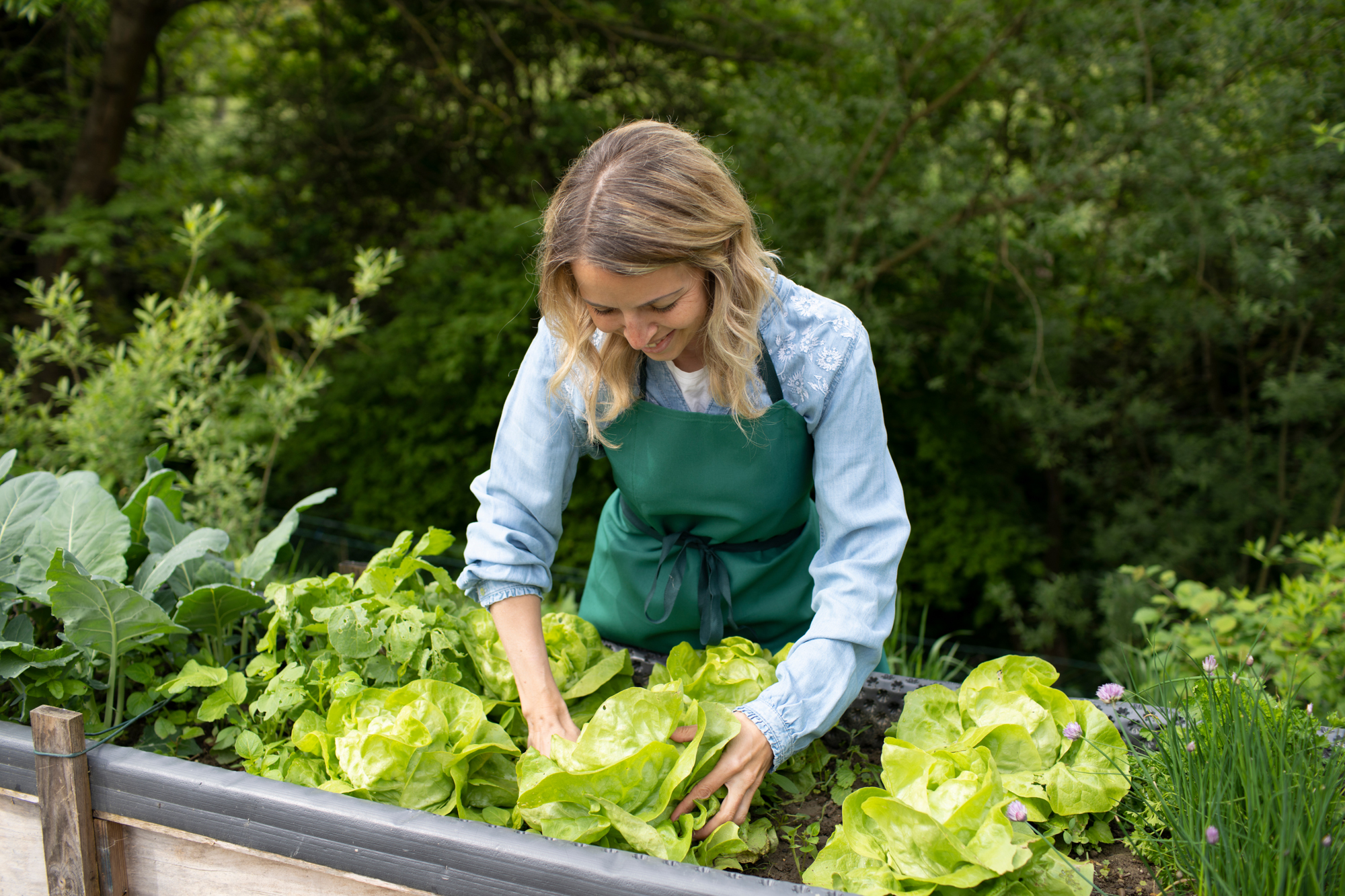 Adobe Stock Epix Images woman planting lettuce in garden apron