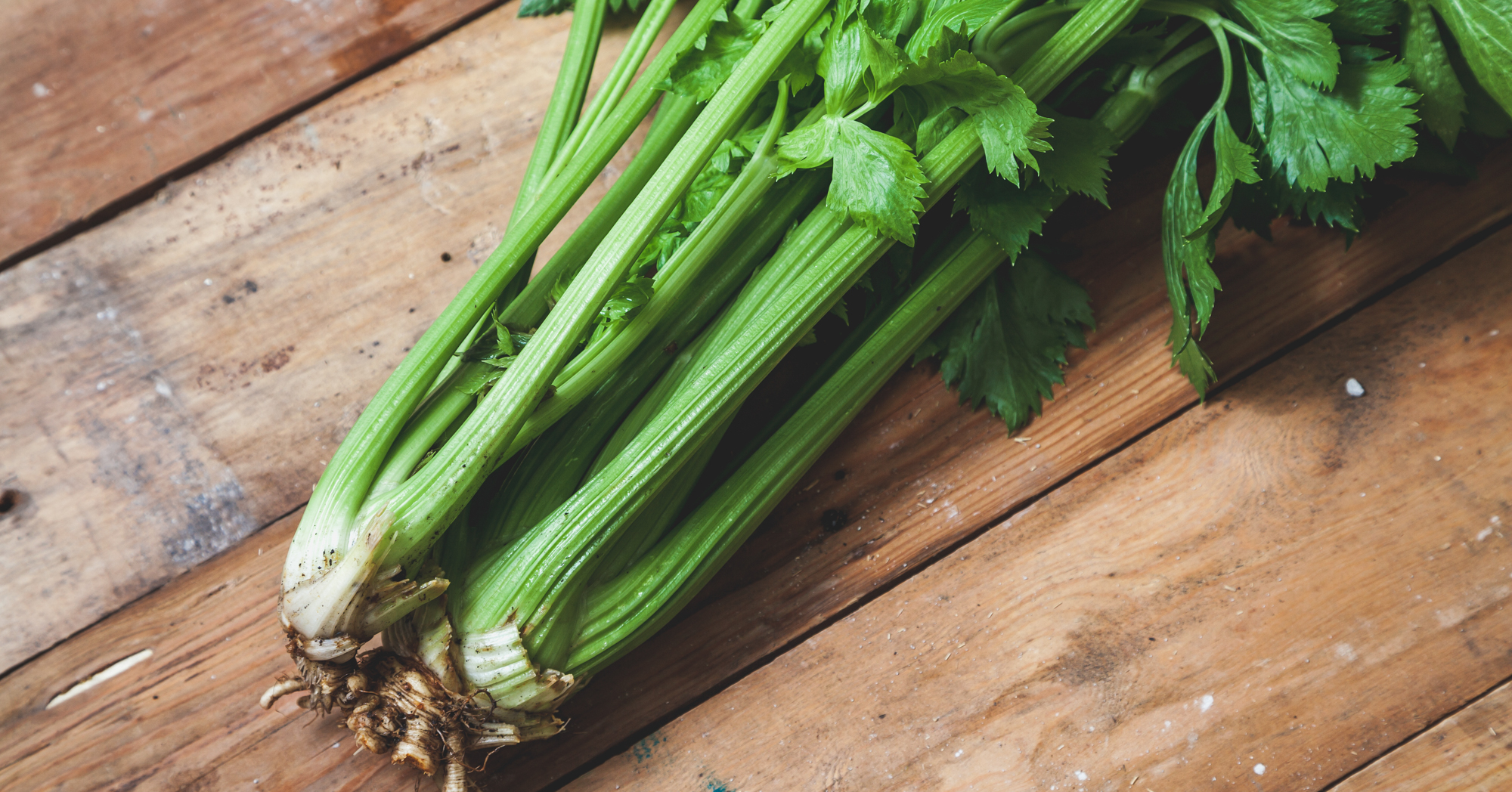 Adobe Stock Glebchik two celery stalks on boards