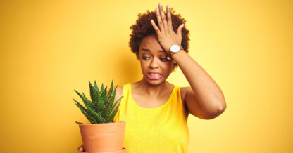 Adobe Stock Kraken Images woman holding aloe plant yellow background upset worried shocked concerned terra cotta pot