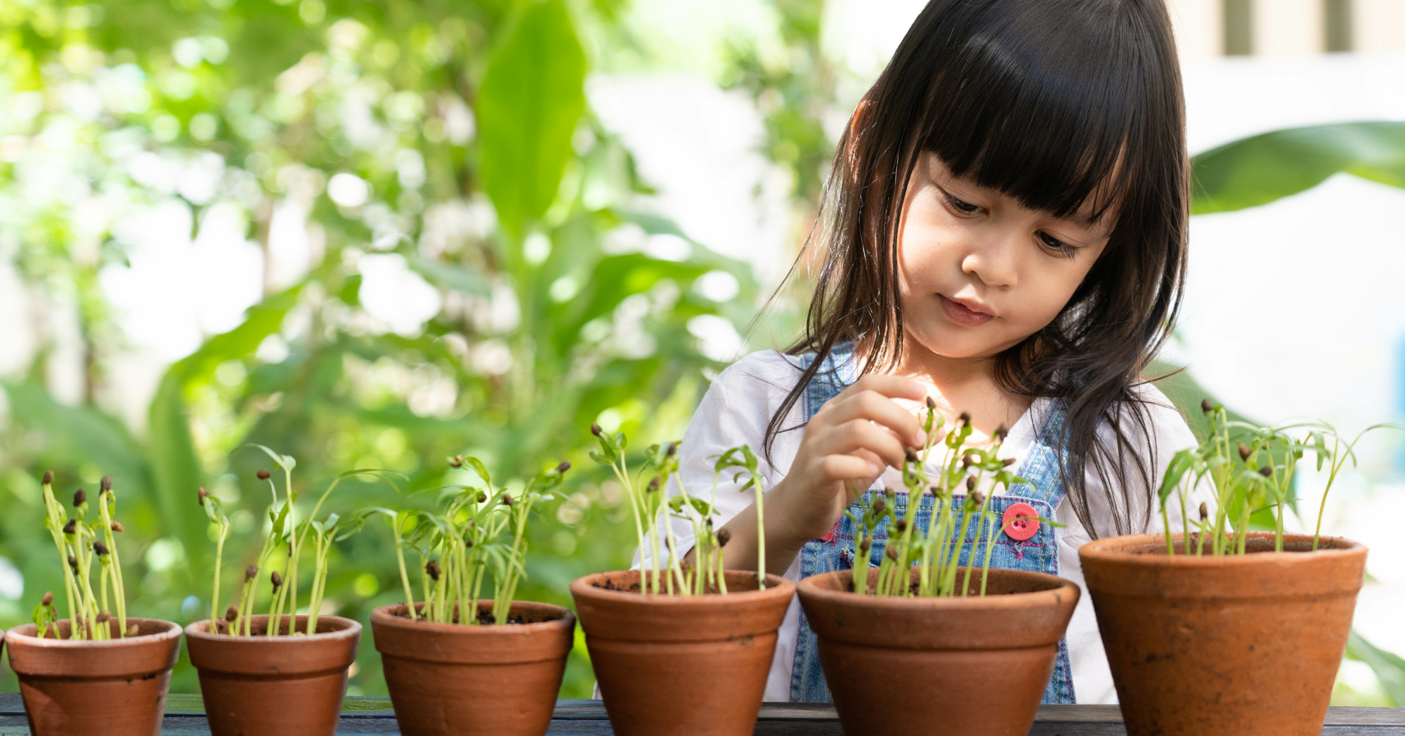 Adobe Stock Sukjai Photo young girl looking at seedlings in pots