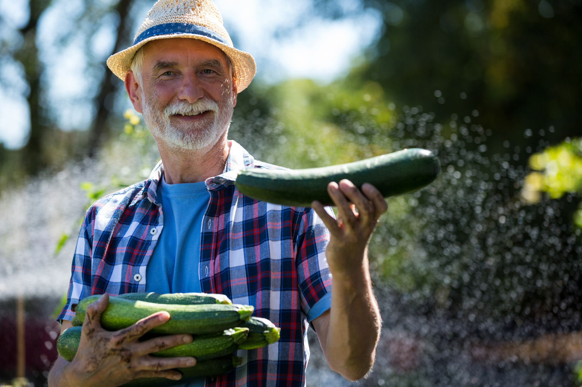 Adobe Stock Wavebreak Media Micro man holding fresh zucchini in garden water