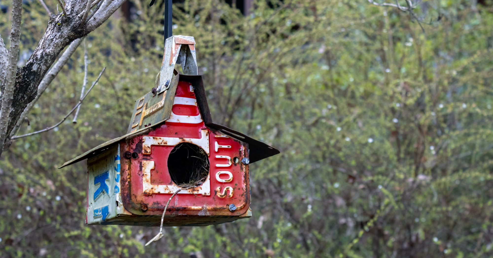 Adobe Stock Anthony birdhouse made with old license plates hanging from a tree