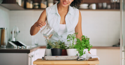 Adobe Stock Chika Milan woman watering fresh herbs in kitchen