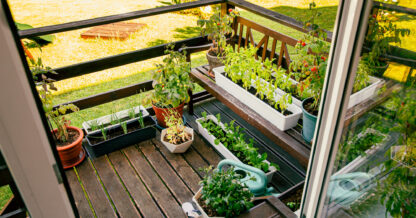 Adobe Stock Foto Helin herbs and plants growing on wood balcony vegetables small space garden