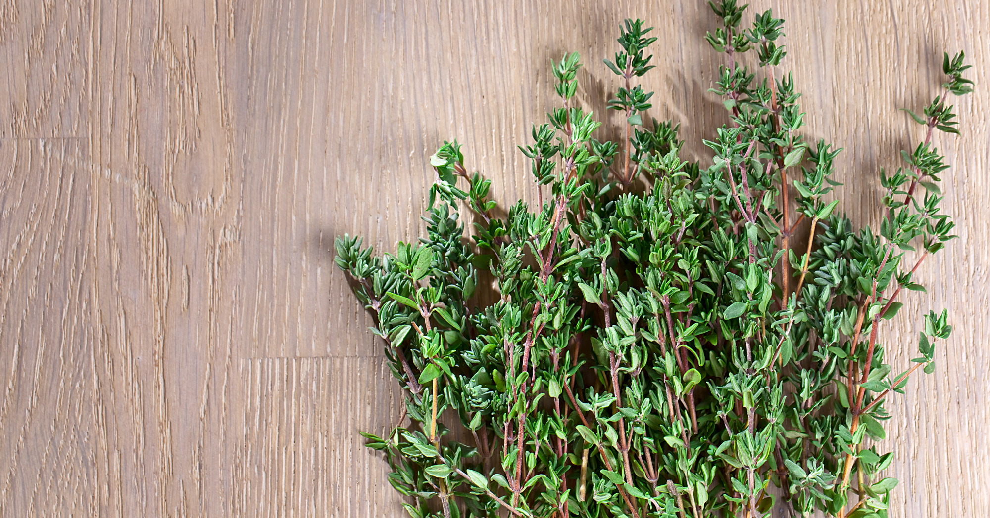 Adobe Stock Igor Normann thyme on wood table herb