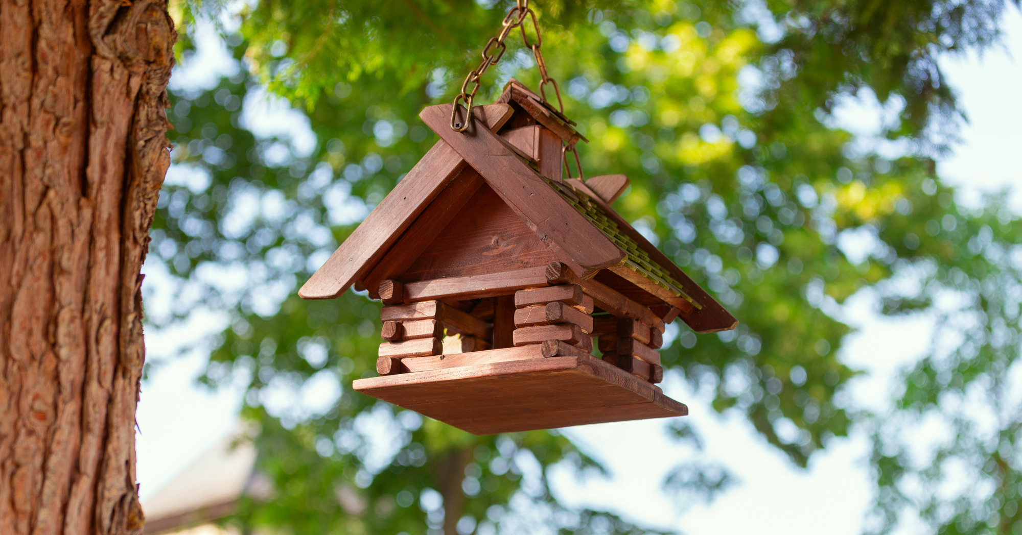 Adobe Stock Pillerss log cabin style birdhouse hanging natural