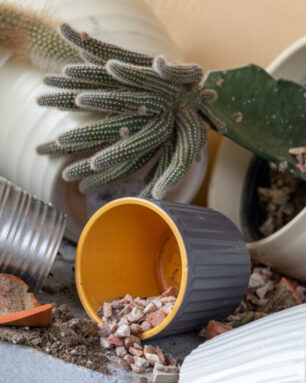 A top down view of broken pottery closeup