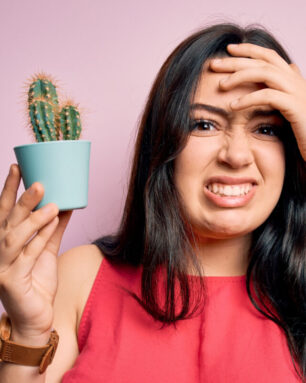 Young brunette woman holding succulent cactus plant over pink background stressed with hand on head, shocked with shame and surprise face, angry and frustrated. Fear and upset for mistake.