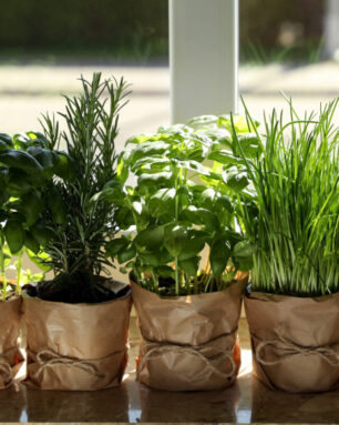 Different aromatic potted herbs on windowsill indoors