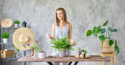 Adobe Stock Malkovkosta woman planting fern indoor plants table